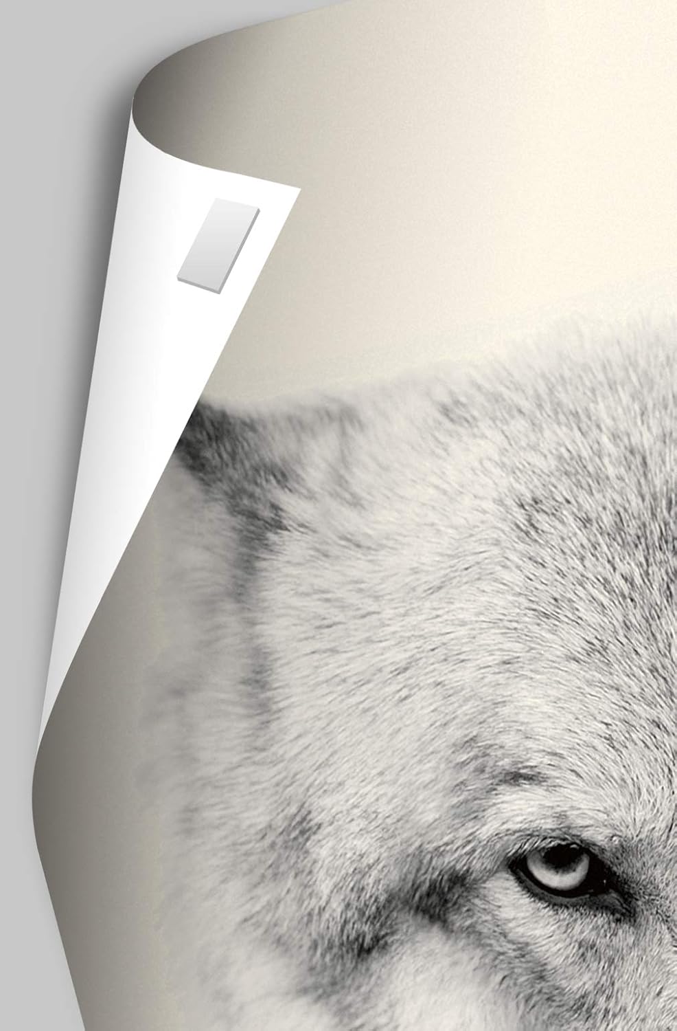 K-Pop Demon Hunters Group Wall Poster (2025) — Unframed 34″ × 22.4″