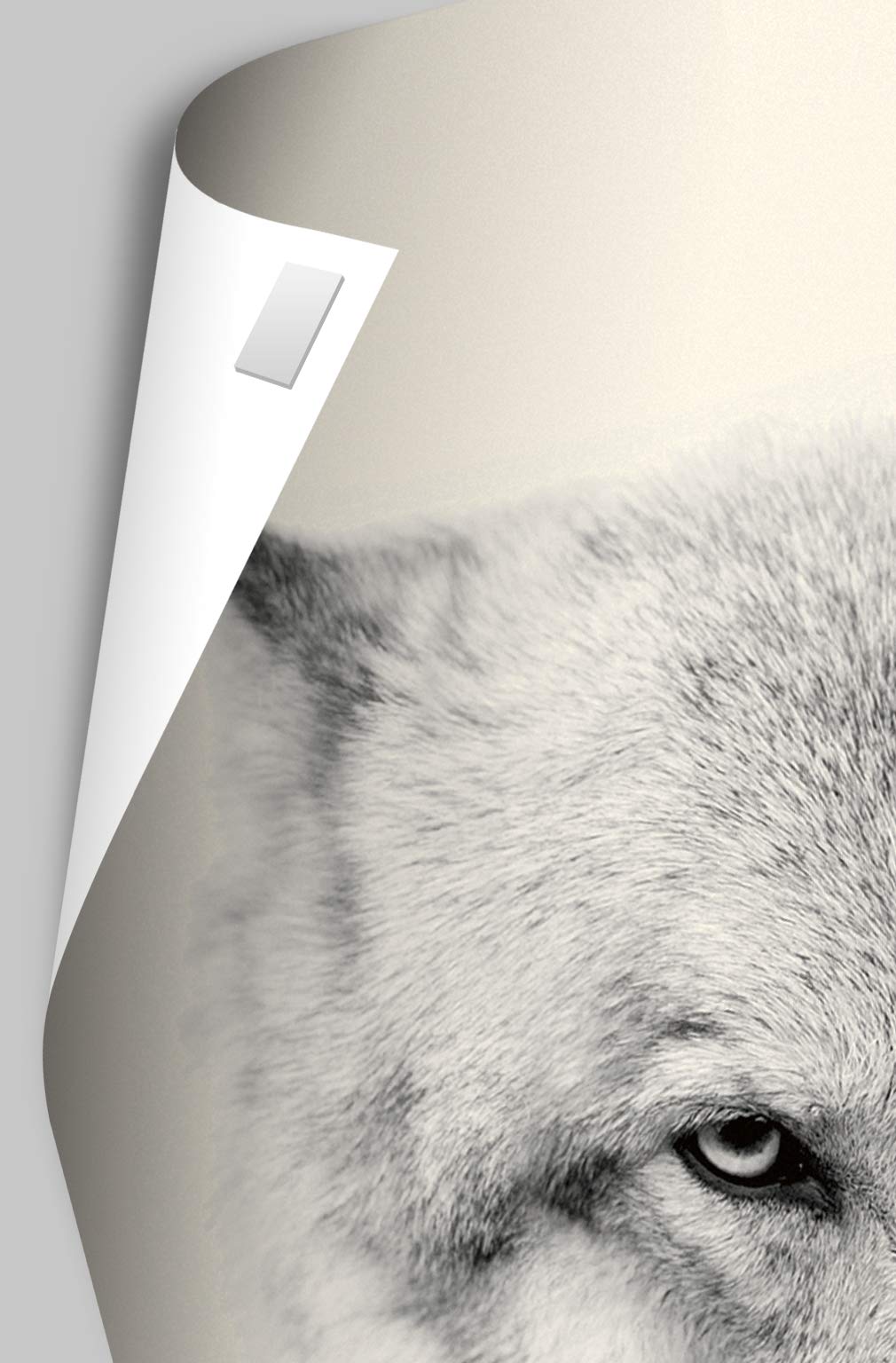 K-Pop Wall Poster — 22.375" × 34" Print with Beechwood Hanger